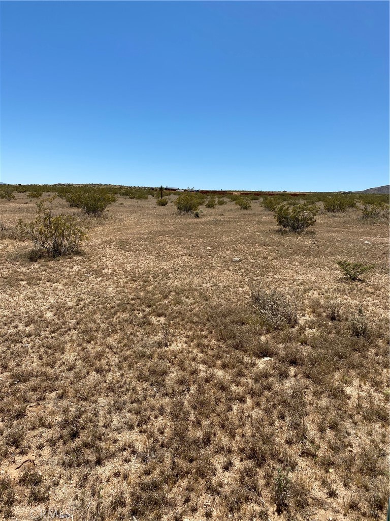 900 Fetlock Landers, CA 92285 - Photo 6 of 7