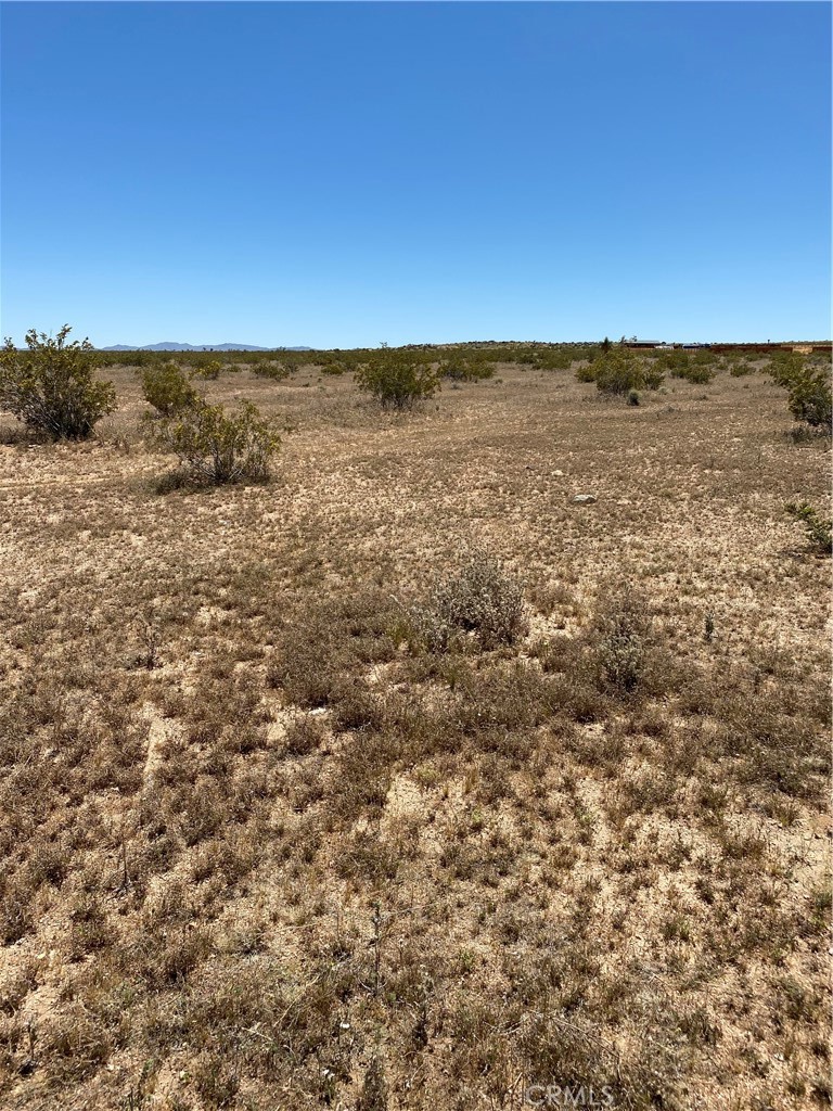 900 Fetlock Landers, CA 92285 - Photo 7 of 7