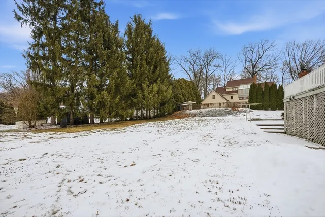 a view of road and with trees