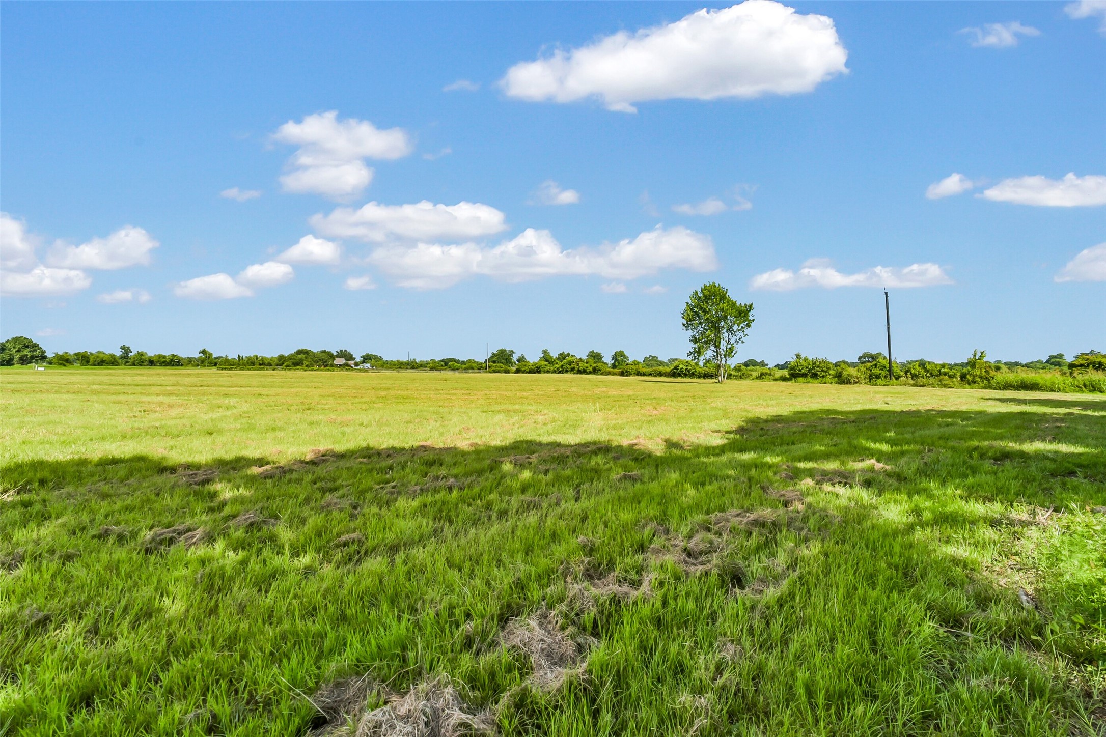 17210 Dewberry Lane Rosharon, TX 77583 - Photo 12 of 12
