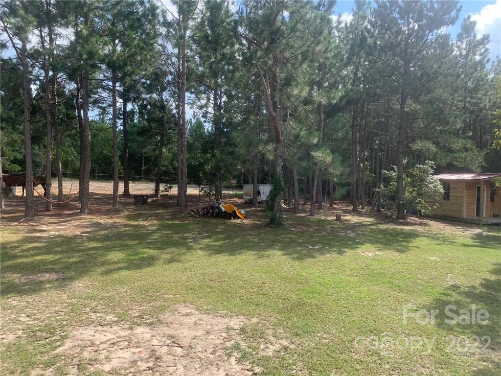 2377 Camp Road Bethune, SC 29009 - Photo 3 of 13 Gallery Image 3