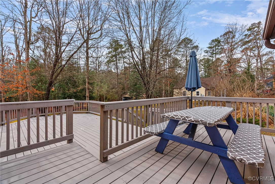 12931 Spring Run Road Midlothian, VA 23112 - Photo 43 of 49