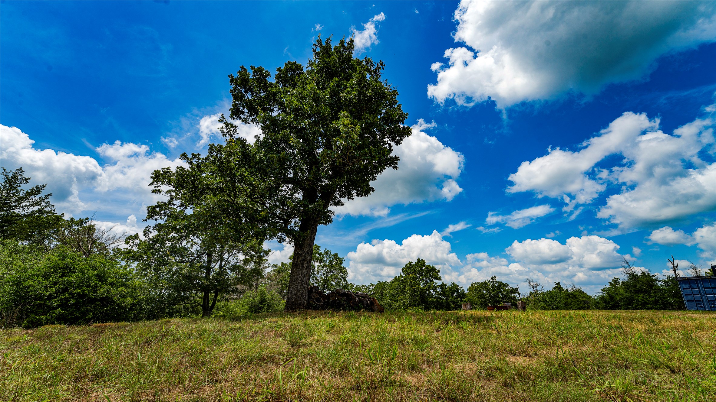1470 22 Hills Road Gause, TX 77857 - Photo 18 of 35 A verdant landscape unfurls under an expansive azure sky dotted with fluffy clouds.