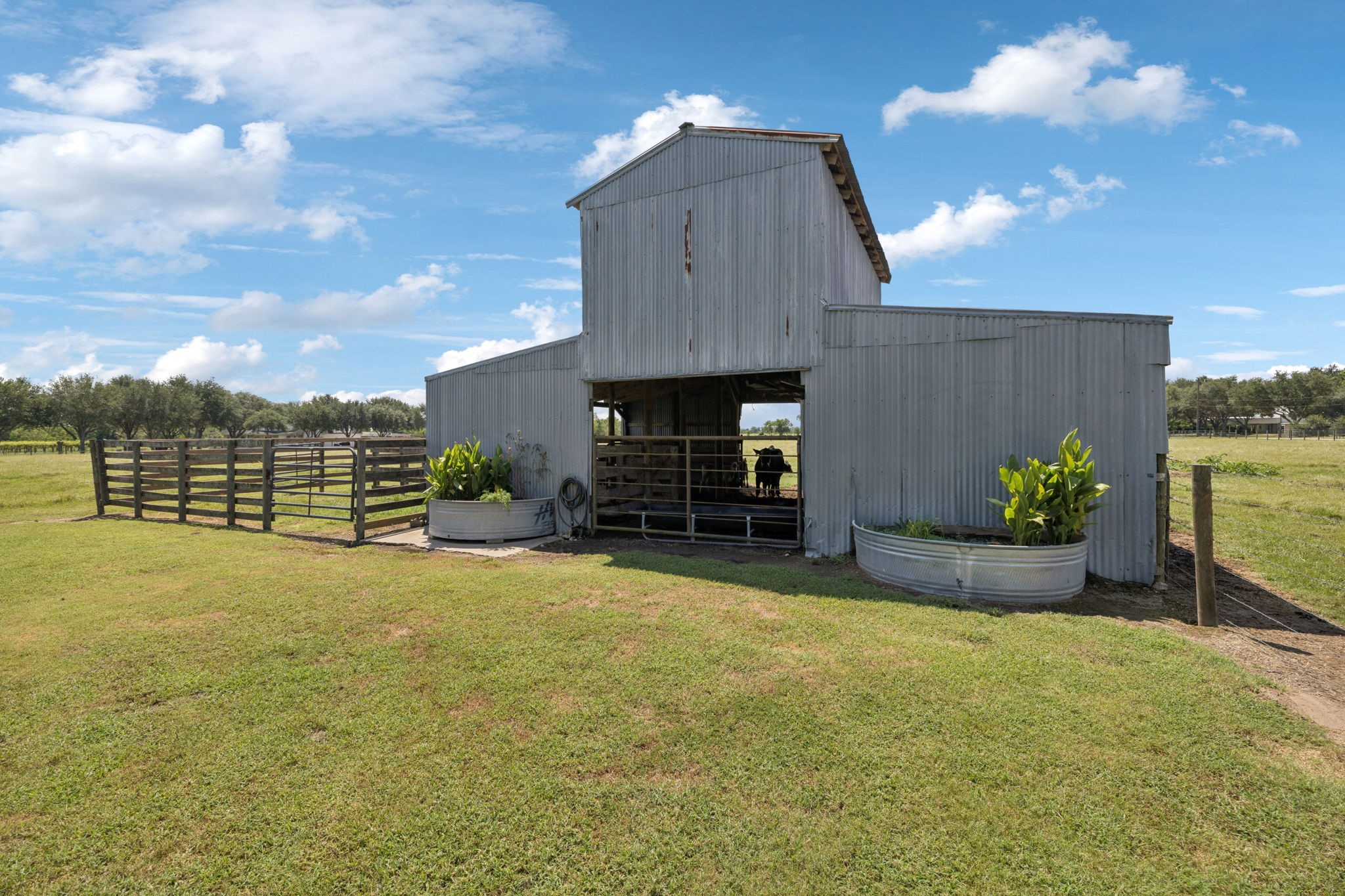 31229 Rochen Road Waller, TX 77484 - Photo 43 of 50 a view of a house with a yard