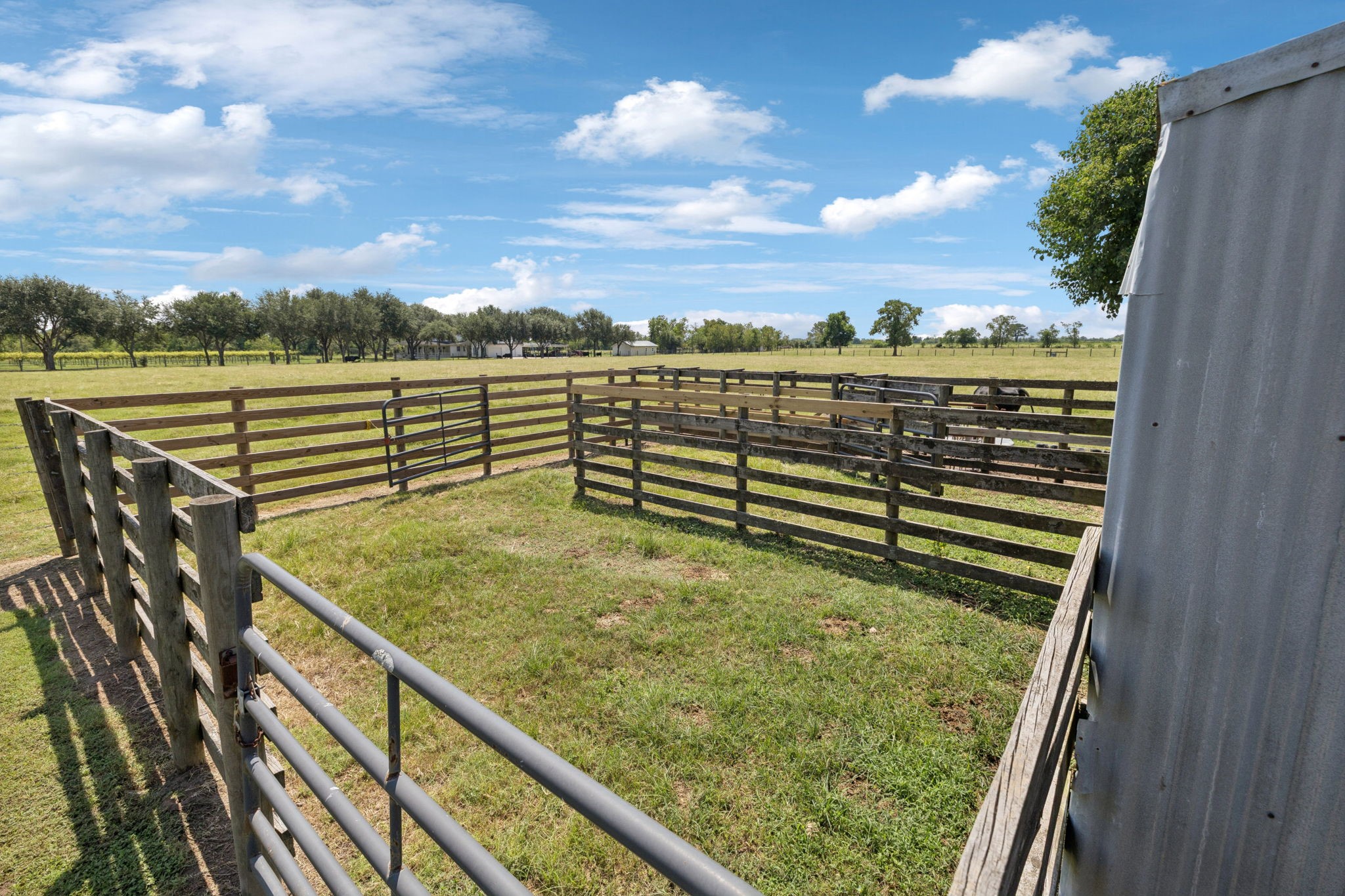 31229 Rochen Road Waller, TX 77484 - Photo 44 of 50 a view of a green space with skyline