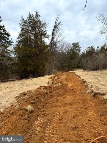 a view of side of snow with trees