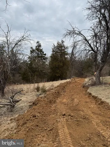 a front view of a house having yard