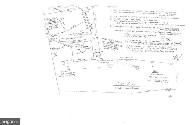 a view of a yard with trees