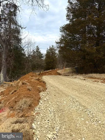 a view of a yard with trees