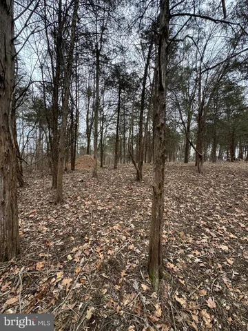 a view of snow on the side of a road