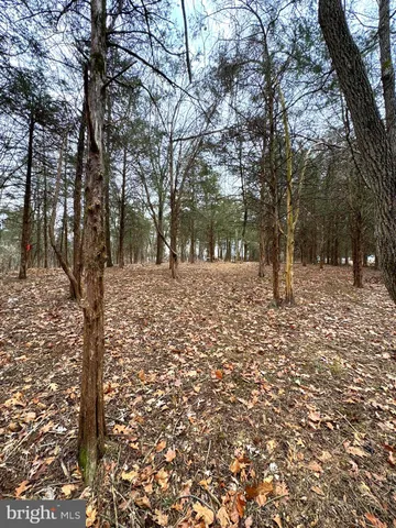 a view of yard with swimming pool and trees