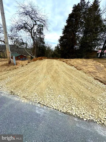 a view of large yard with trees
