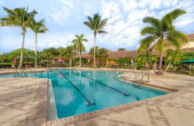 a view of a swimming pool with a lawn chairs under palm trees