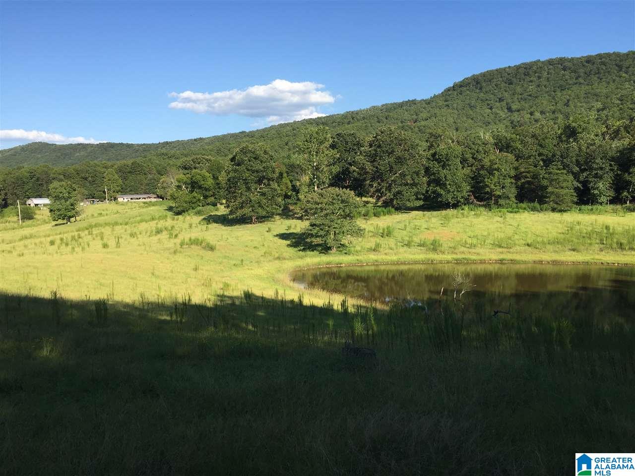 0 Valley Creek Road Piedmont, AL 36272 - Photo 19 of 28