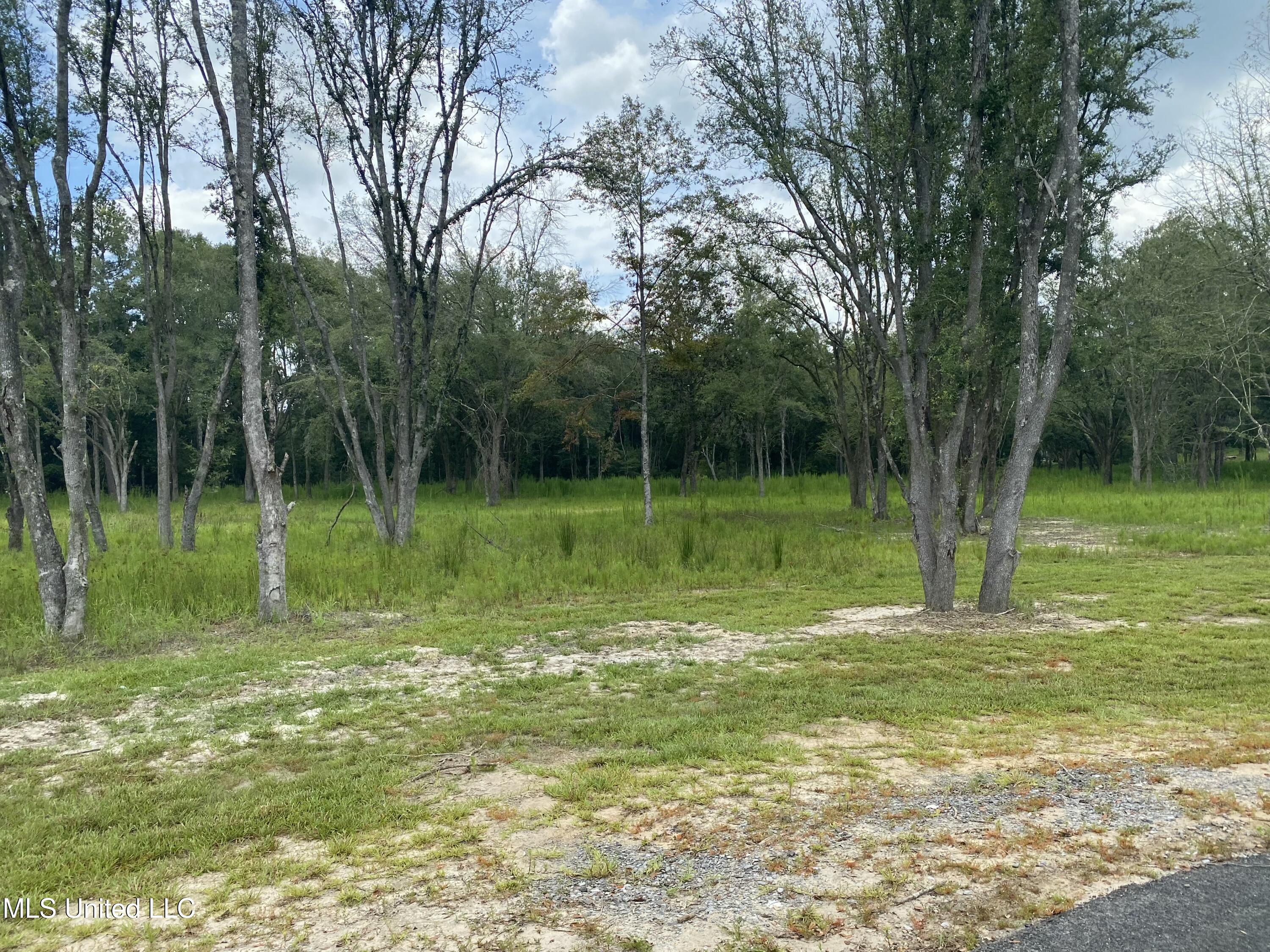 7805 Songbird Lane Moss Point, MS 39562 - Photo 12 of 16 IMG_1907