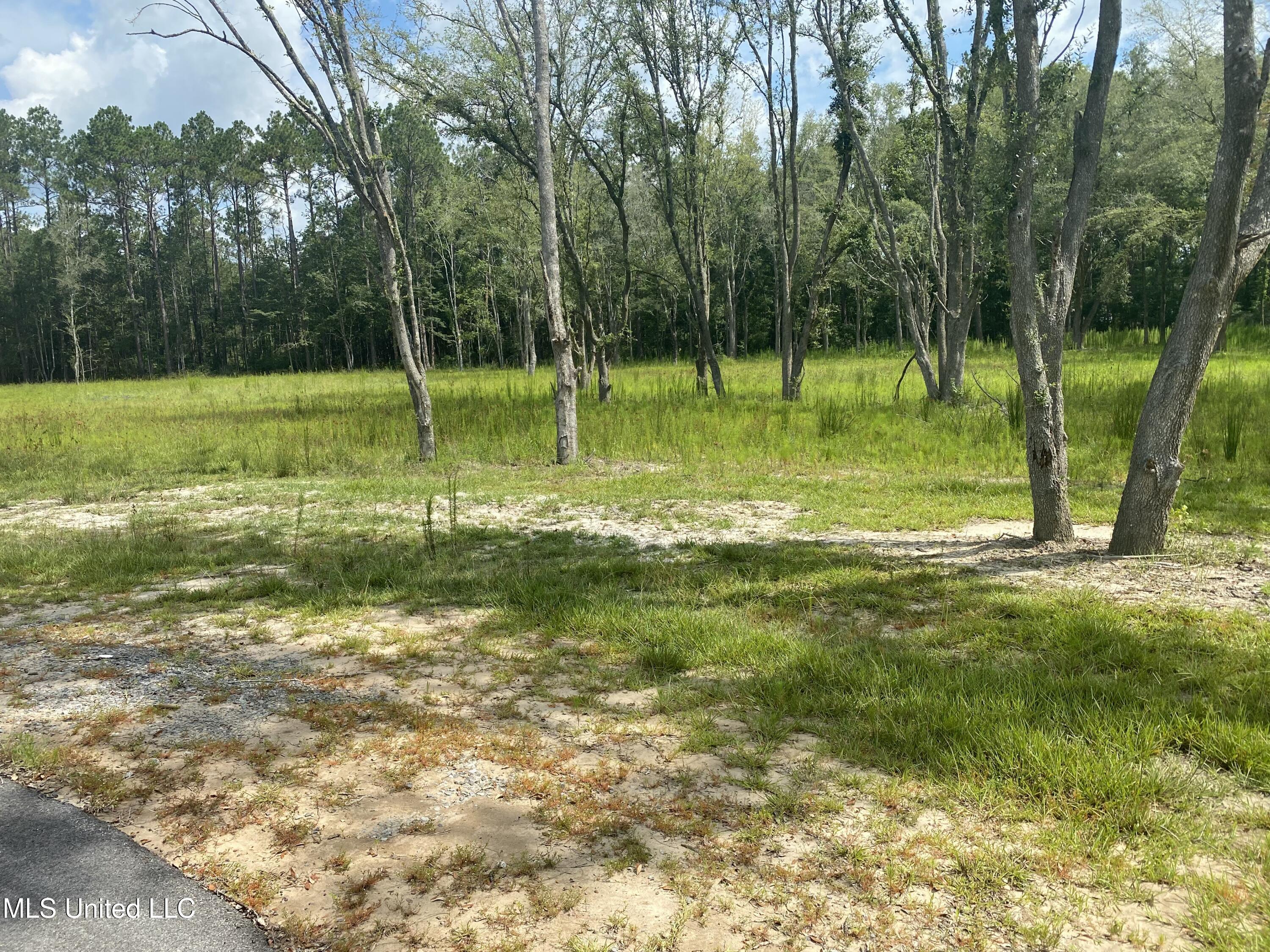 7805 Songbird Lane Moss Point, MS 39562 - Photo 16 of 16 IMG_1903