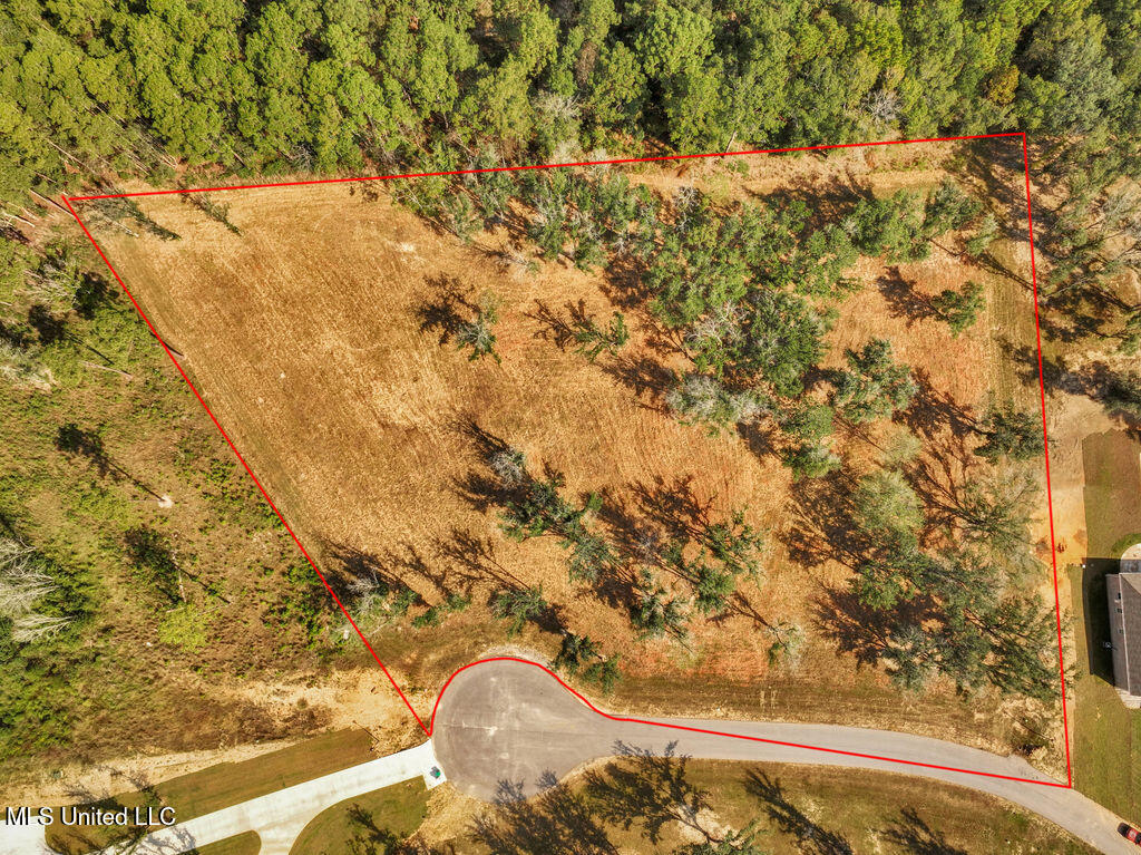 7805 Songbird Lane Moss Point, MS 39562 - Photo 9 of 16 7805SongbirdLn-9