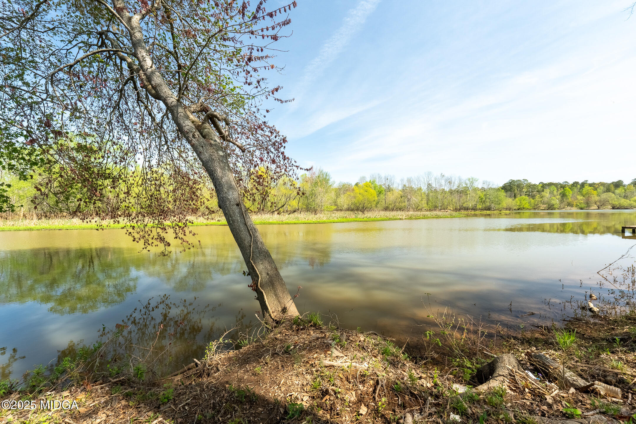 0 Henry Higgins Road Jackson, GA 30233 - Photo 5 of 12 a view of a lake with a yard