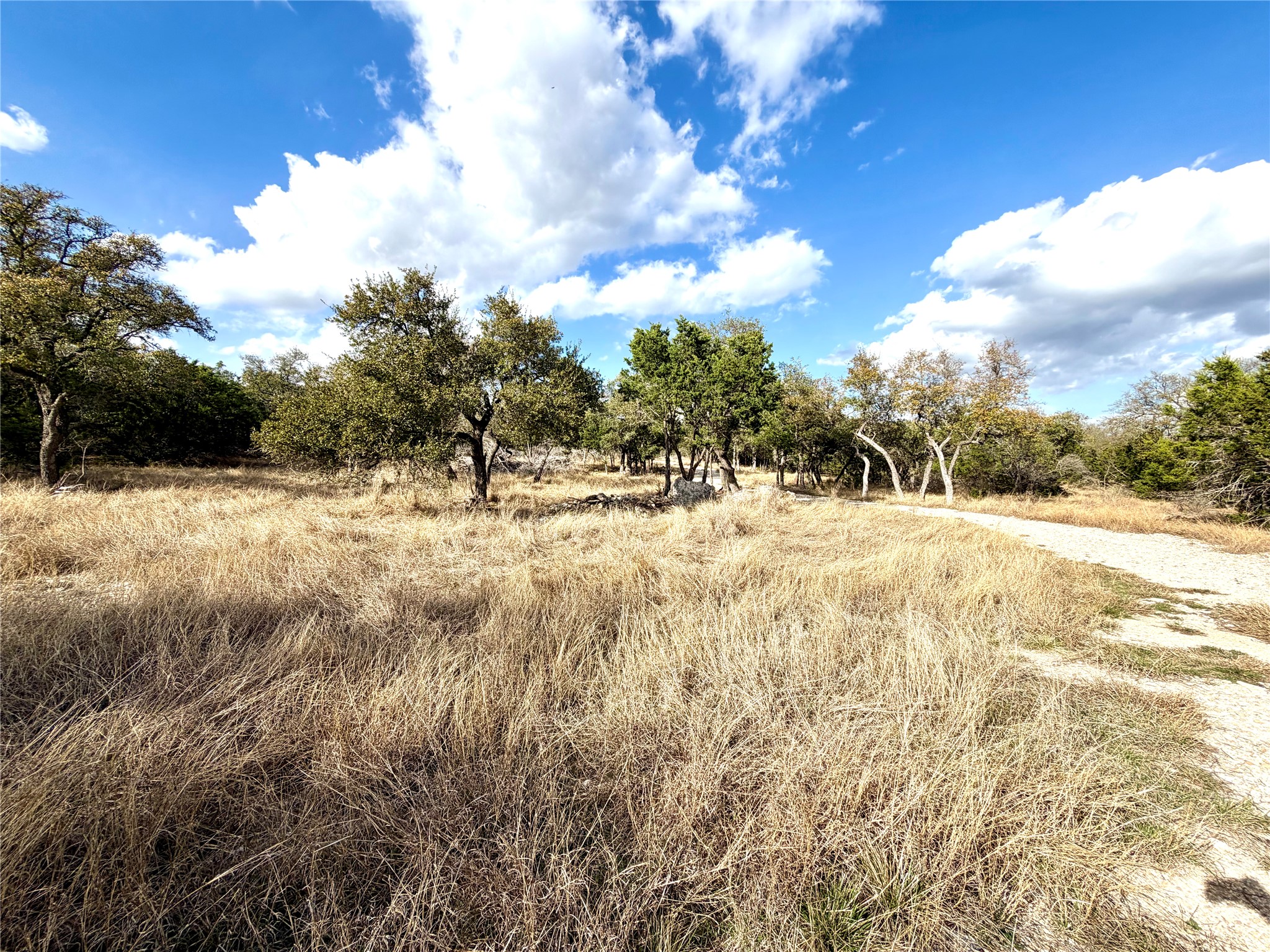 1360 County Road 233 Florence, TX 76527 - Photo 12 of 27