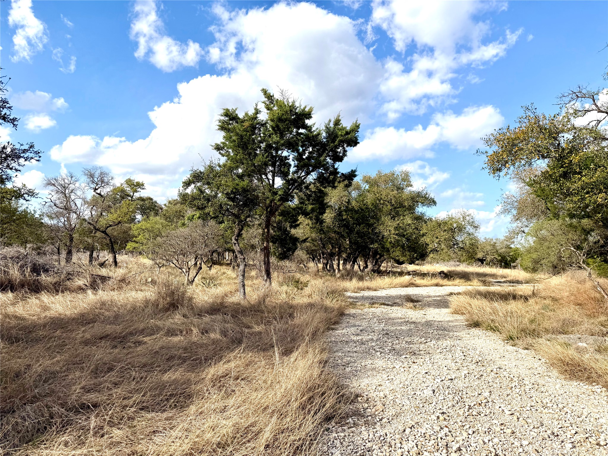 1360 County Road 233 Florence, TX 76527 - Photo 13 of 27