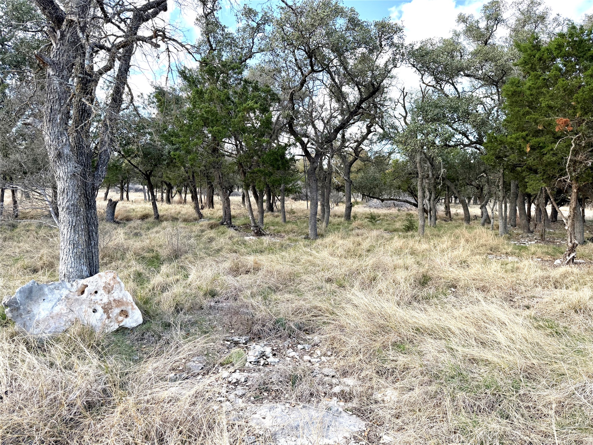 1360 County Road 233 Florence, TX 76527 - Photo 16 of 27