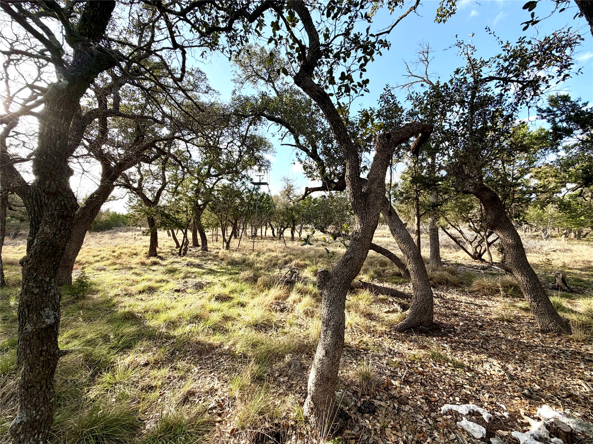 1360 County Road 233 Florence, TX 76527 - Photo 18 of 27