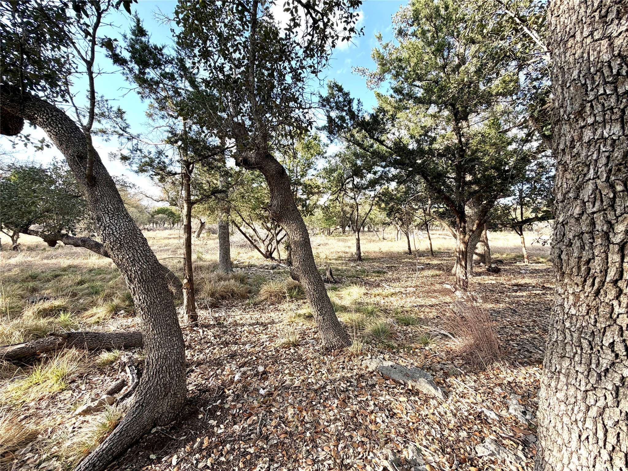 1360 County Road 233 Florence, TX 76527 - Photo 19 of 27