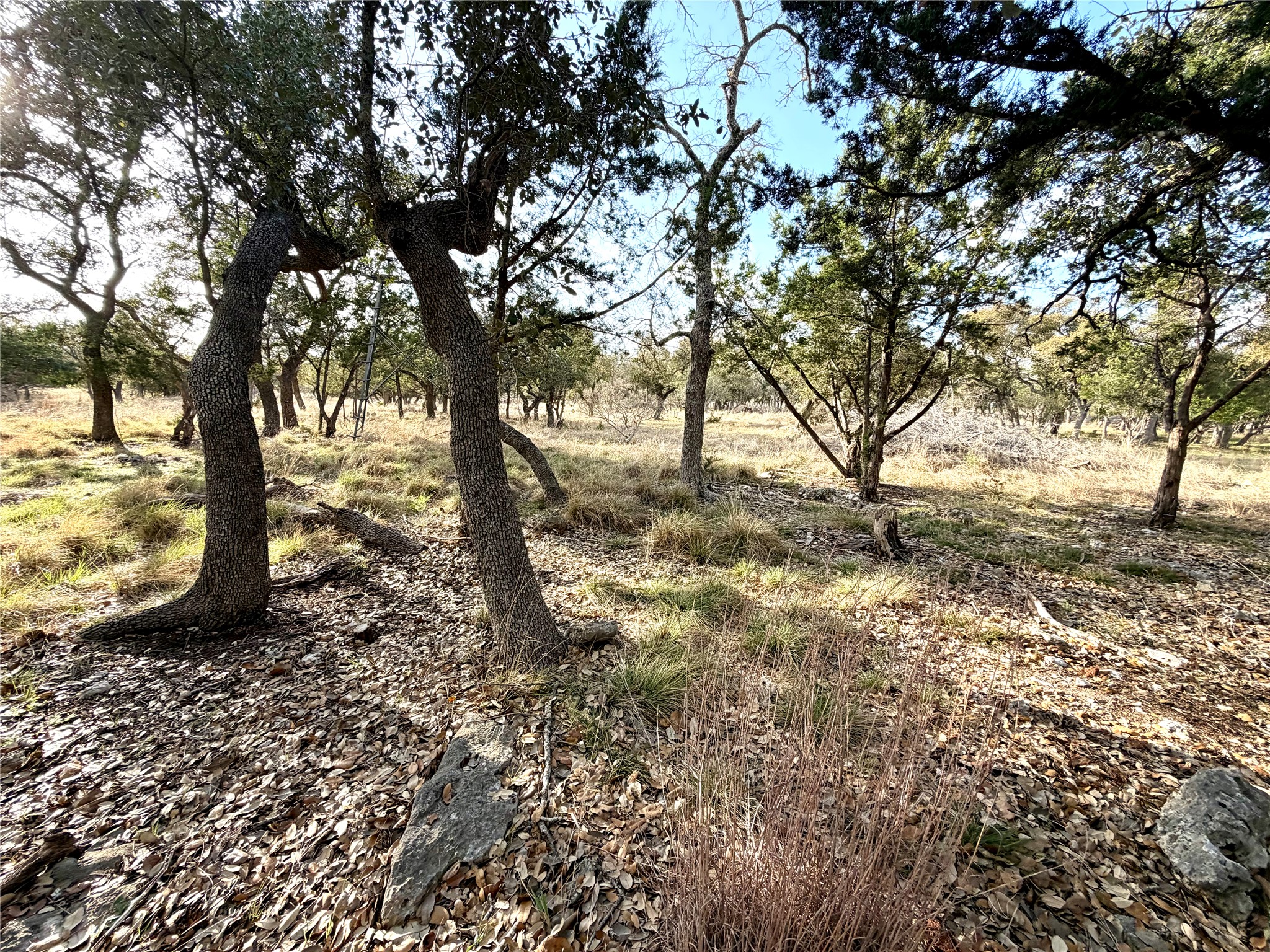 1360 County Road 233 Florence, TX 76527 - Photo 21 of 27