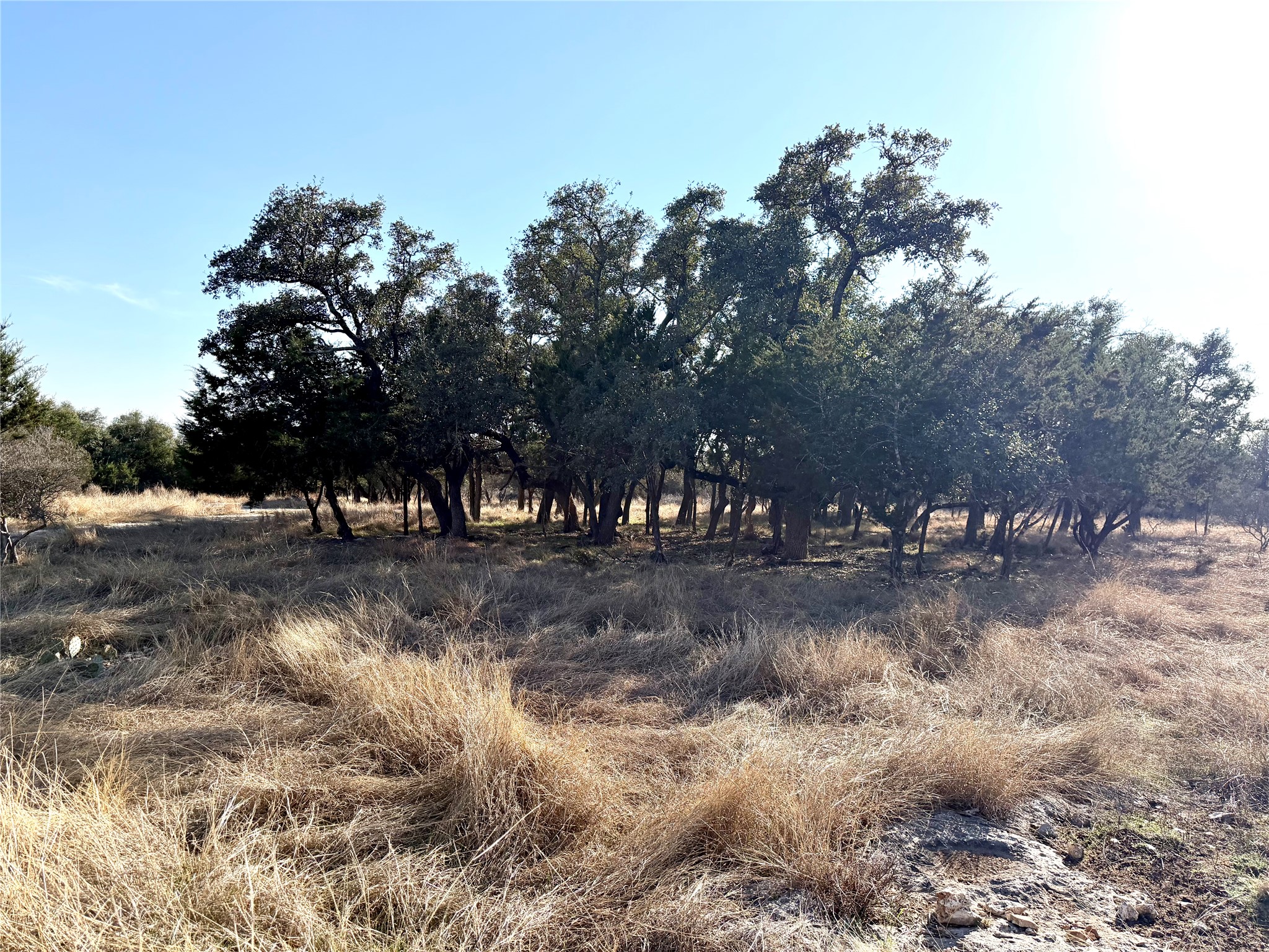 1360 County Road 233 Florence, TX 76527 - Photo 5 of 27