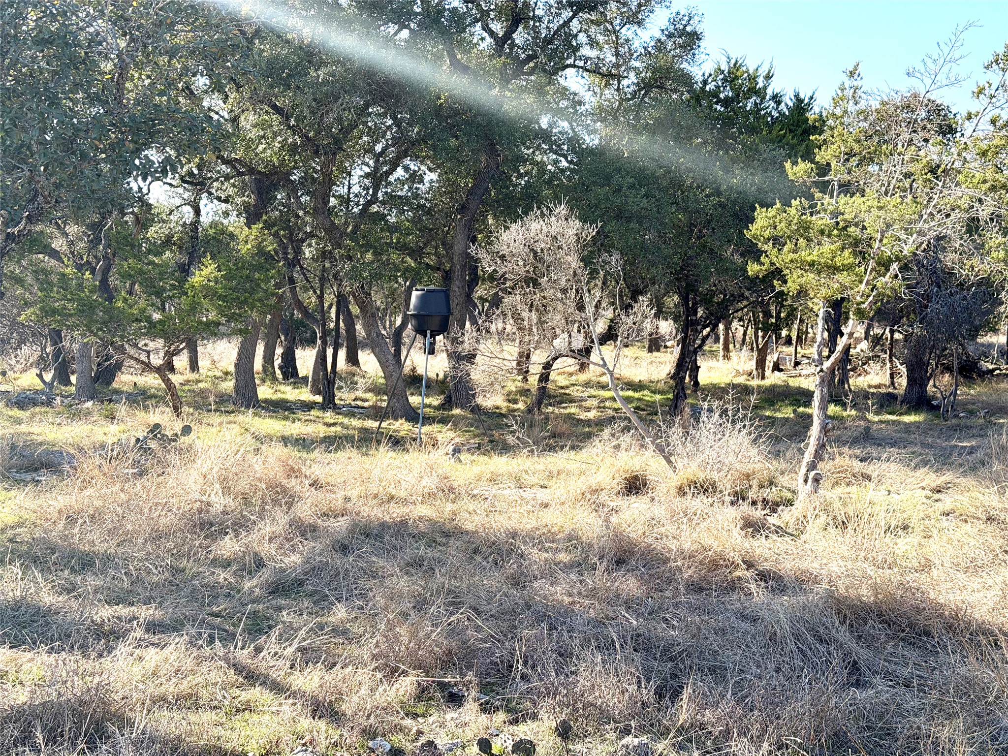 1360 County Road 233 Florence, TX 76527 - Photo 6 of 27