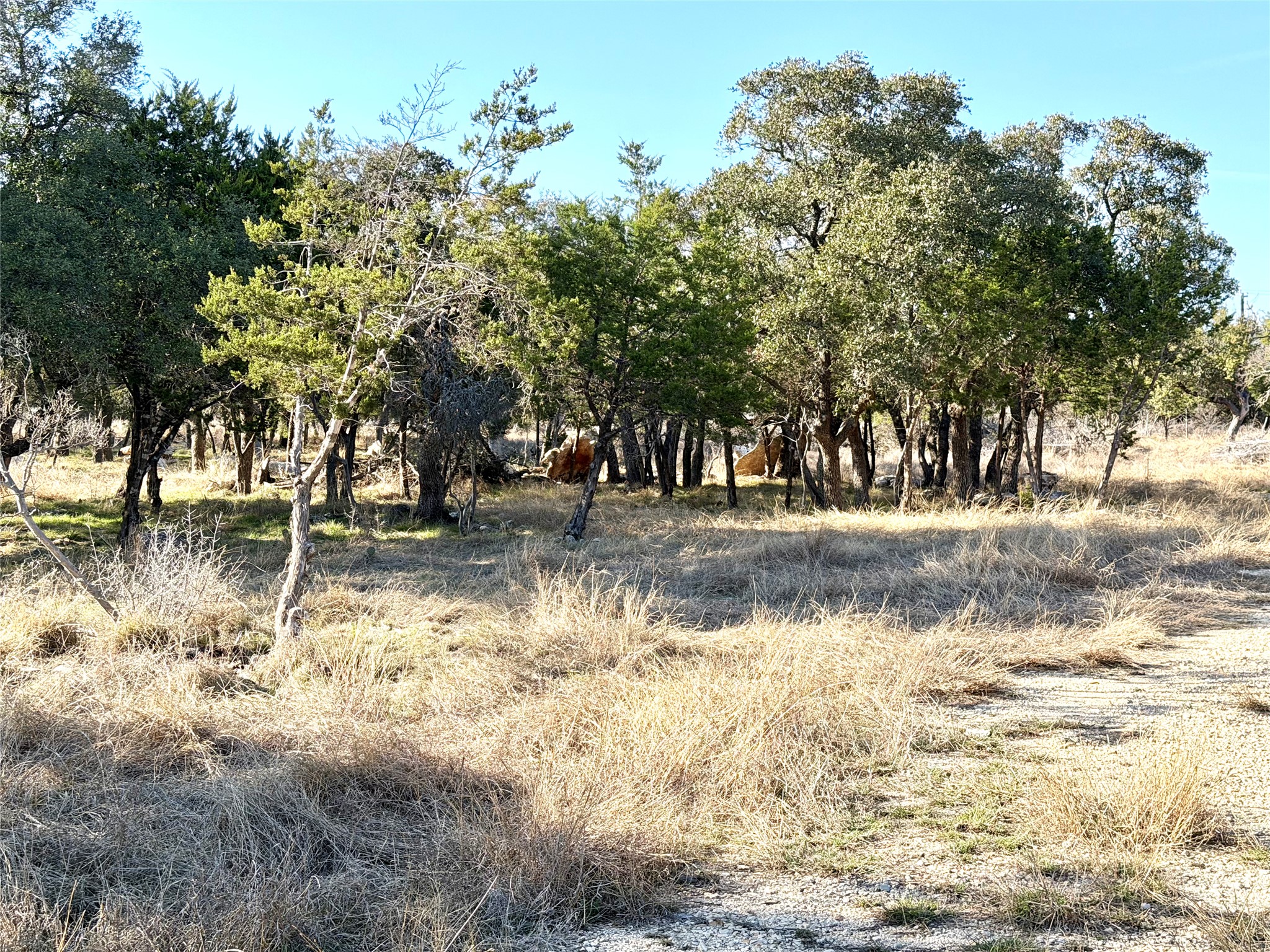 1360 County Road 233 Florence, TX 76527 - Photo 7 of 27