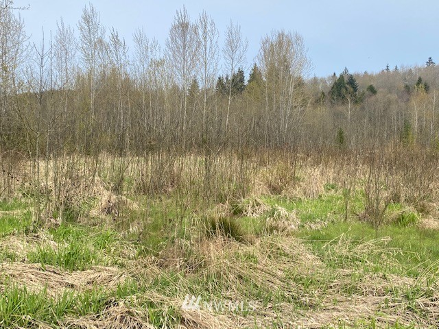 0 Frontage Road Castle Rock, WA 98611 - Photo 3 of 9 Gallery Image 3