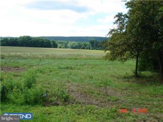 5095 York Rd. New Hope, PA 18938 - Photo 4 of 4 Gallery Image 4