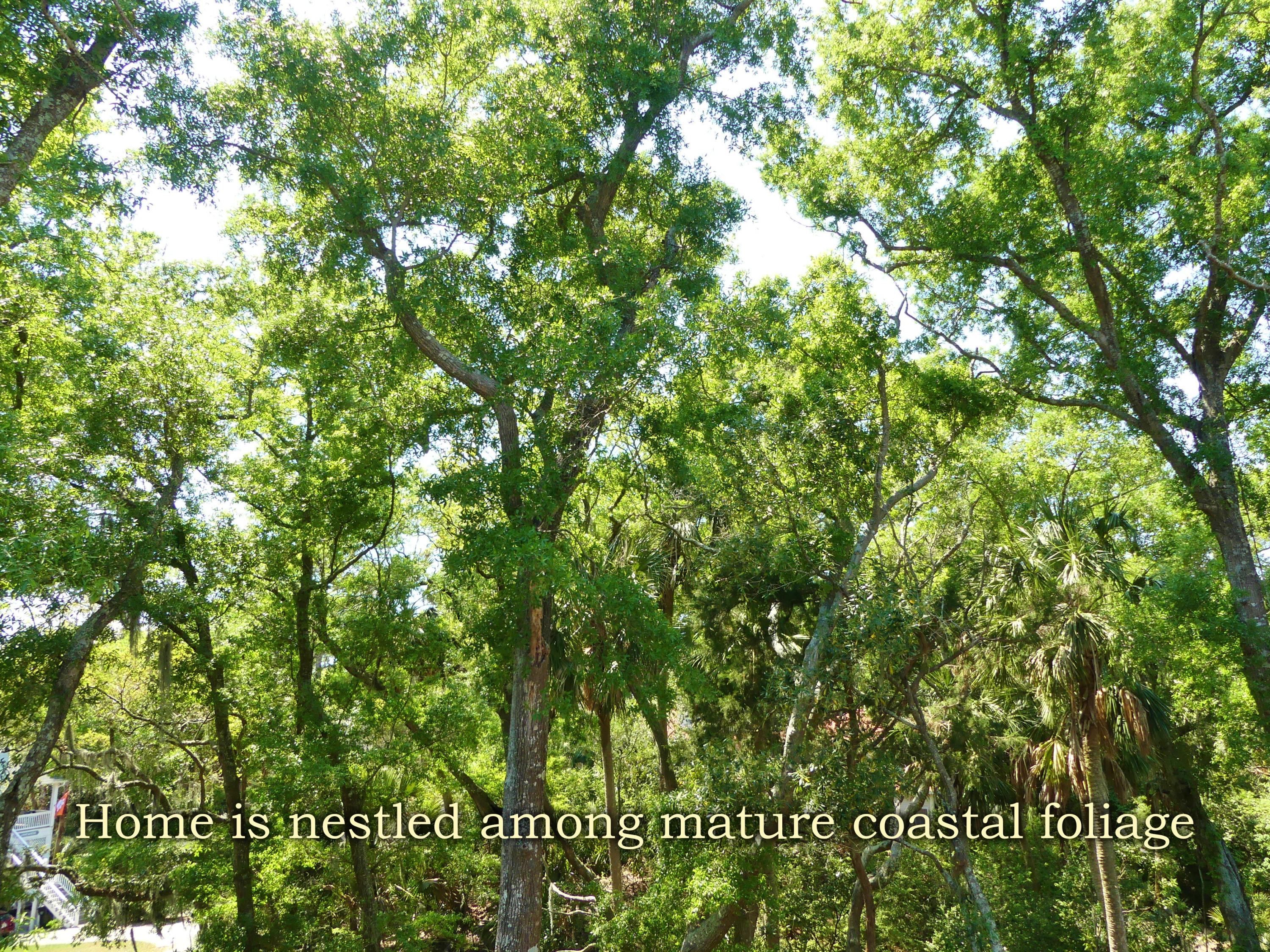533 Oristo Ridge Edisto Island, SC 29438 - Photo 27 of 59 22