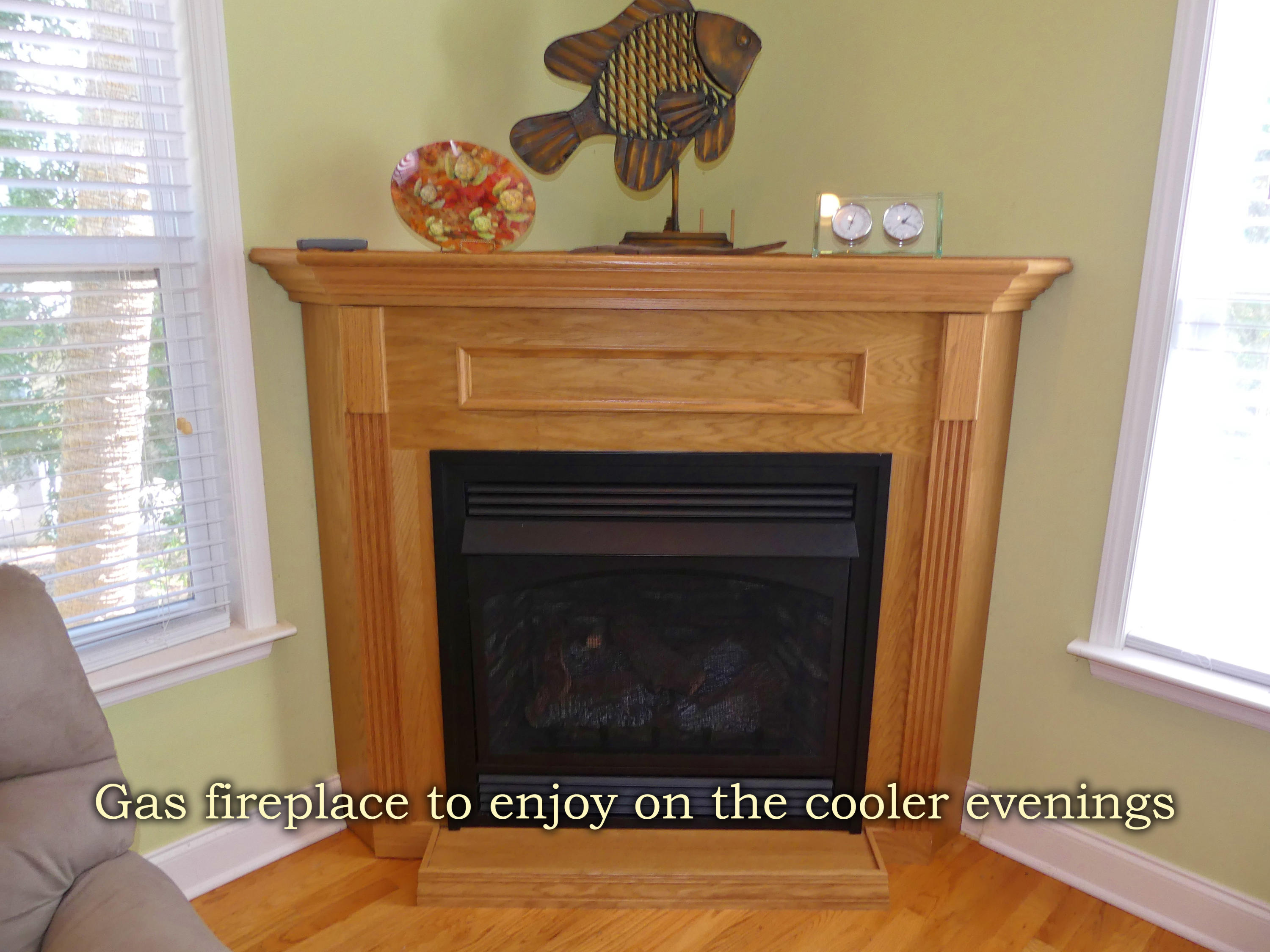 533 Oristo Ridge Edisto Island, SC 29438 - Photo 7 of 59 4