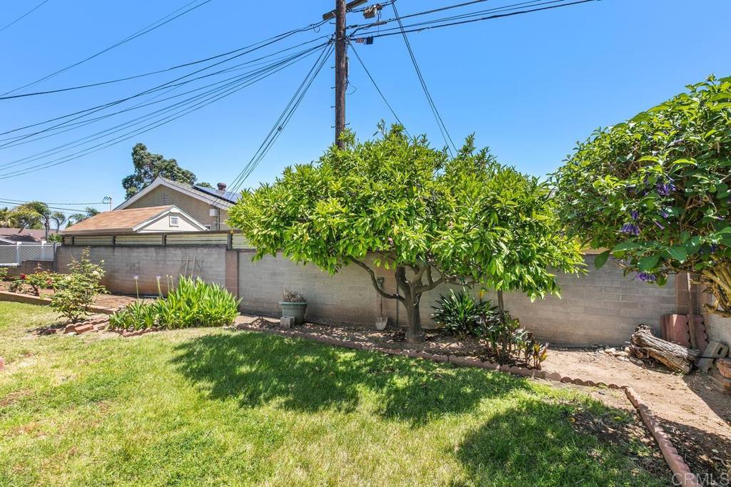 800 Murray Drive El Cajon, CA 92020 - Photo 26 of 32 Tangerine Tree