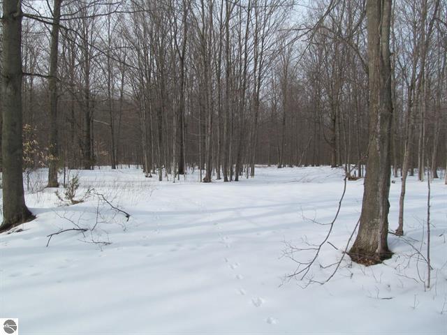 0 North 23rd Road Mesick, MI 49668 - Photo 11 of 27 11