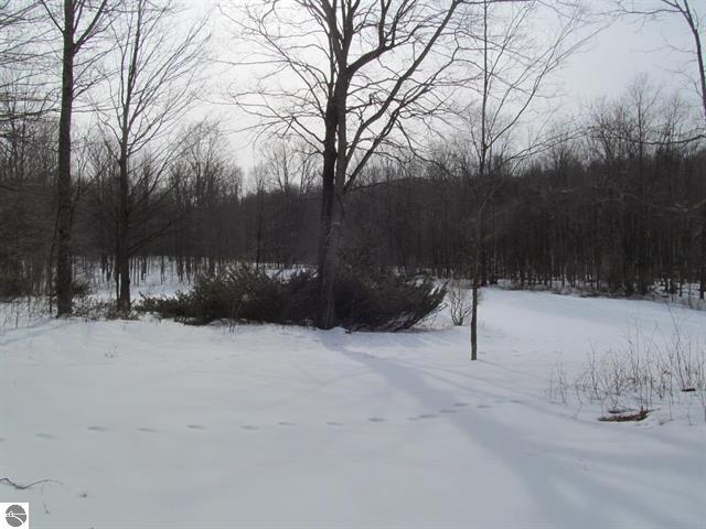 0 North 23rd Road Mesick, MI 49668 - Photo 12 of 27 12