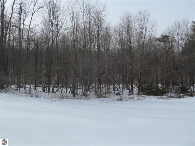 0 North 23rd Road Mesick, MI 49668 - Photo 13 of 27 13