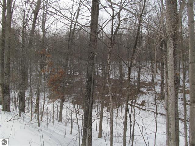 0 North 23rd Road Mesick, MI 49668 - Photo 17 of 27 17