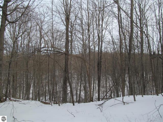 0 North 23rd Road Mesick, MI 49668 - Photo 21 of 27 21