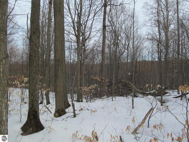 0 North 23rd Road Mesick, MI 49668 - Photo 22 of 27 22