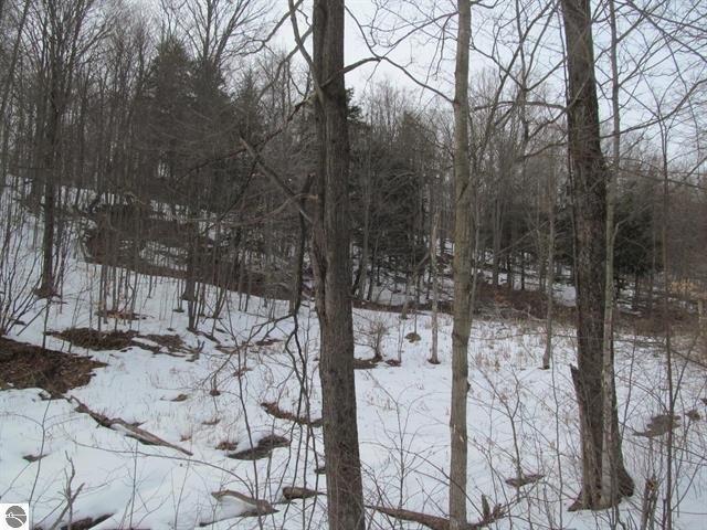 0 North 23rd Road Mesick, MI 49668 - Photo 23 of 27 23