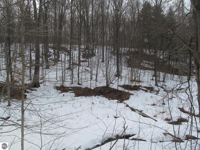 0 North 23rd Road Mesick, MI 49668 - Photo 24 of 27 24