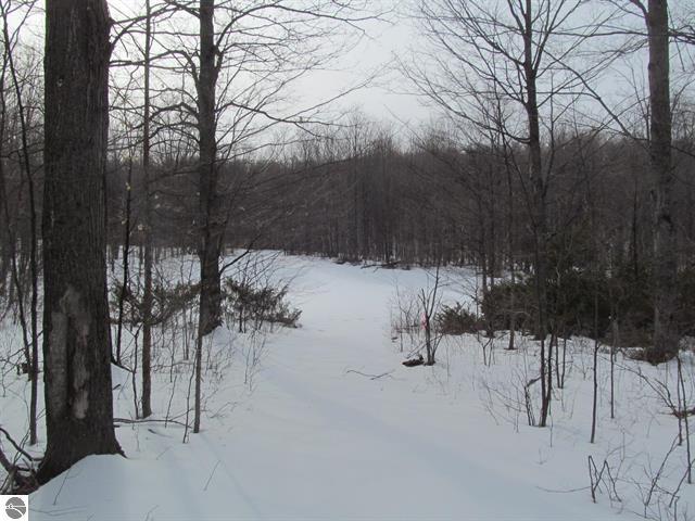 0 North 23rd Road Mesick, MI 49668 - Photo 25 of 27 25