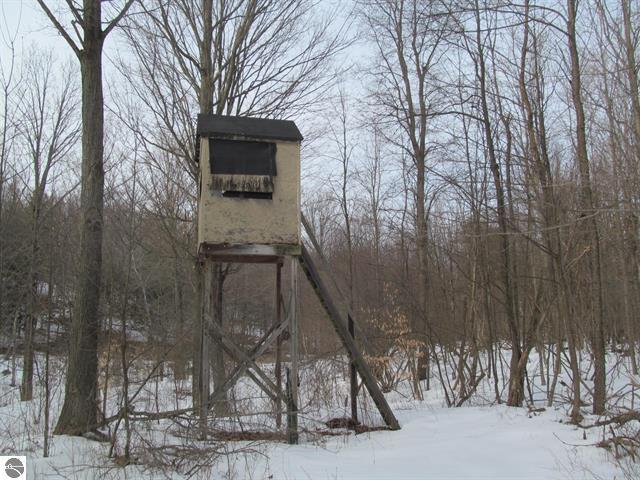 0 North 23rd Road Mesick, MI 49668 - Photo 4 of 27 4
