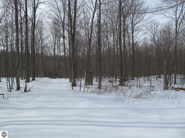 0 North 23rd Road Mesick, MI 49668 - Photo 5 of 27 5