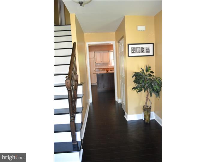 131 Beech Terrace Springfield, PA 19064 - Photo 2 of 24 Foyer