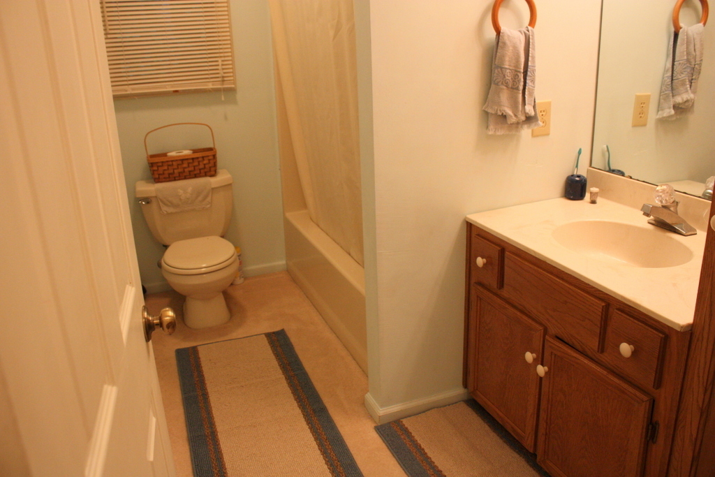 6010 2 Ford Road Roanoke, VA 24018 - Photo 14 of 18 Hall Bath
