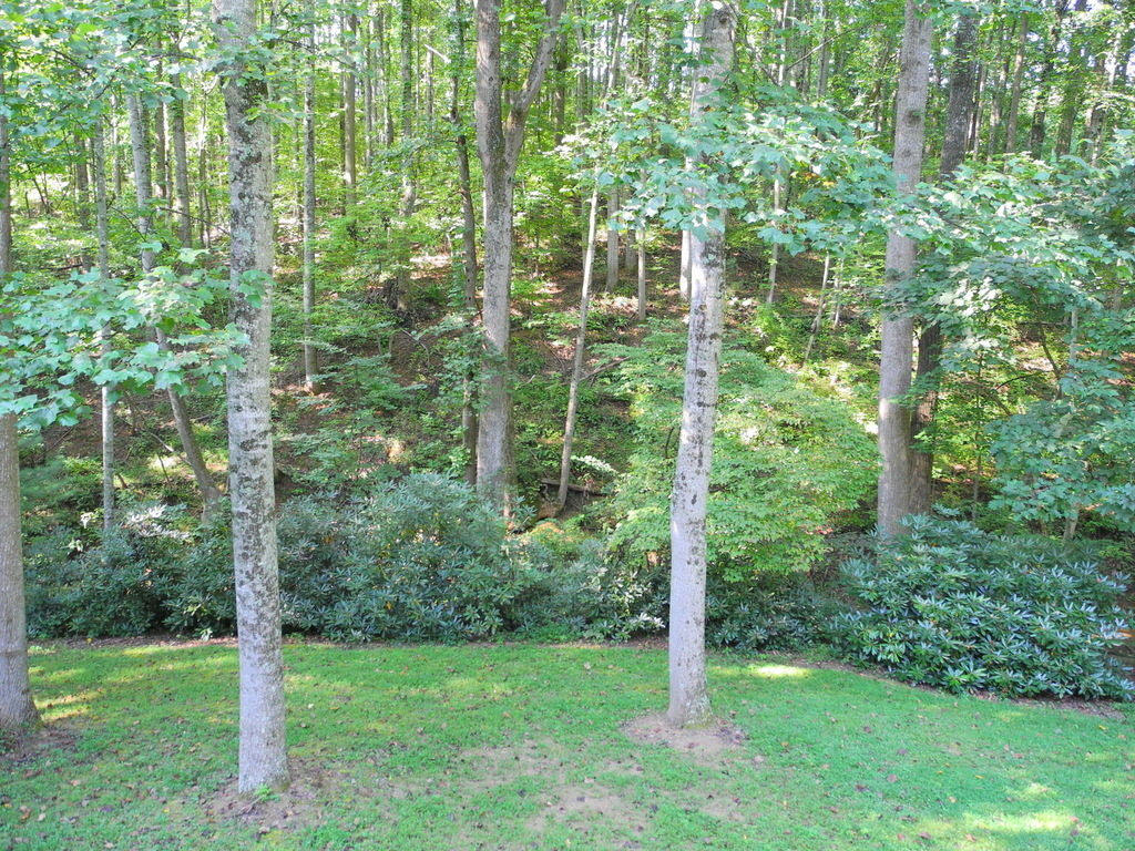 6010 2 Ford Road Roanoke, VA 24018 - Photo 18 of 18 View from Decks